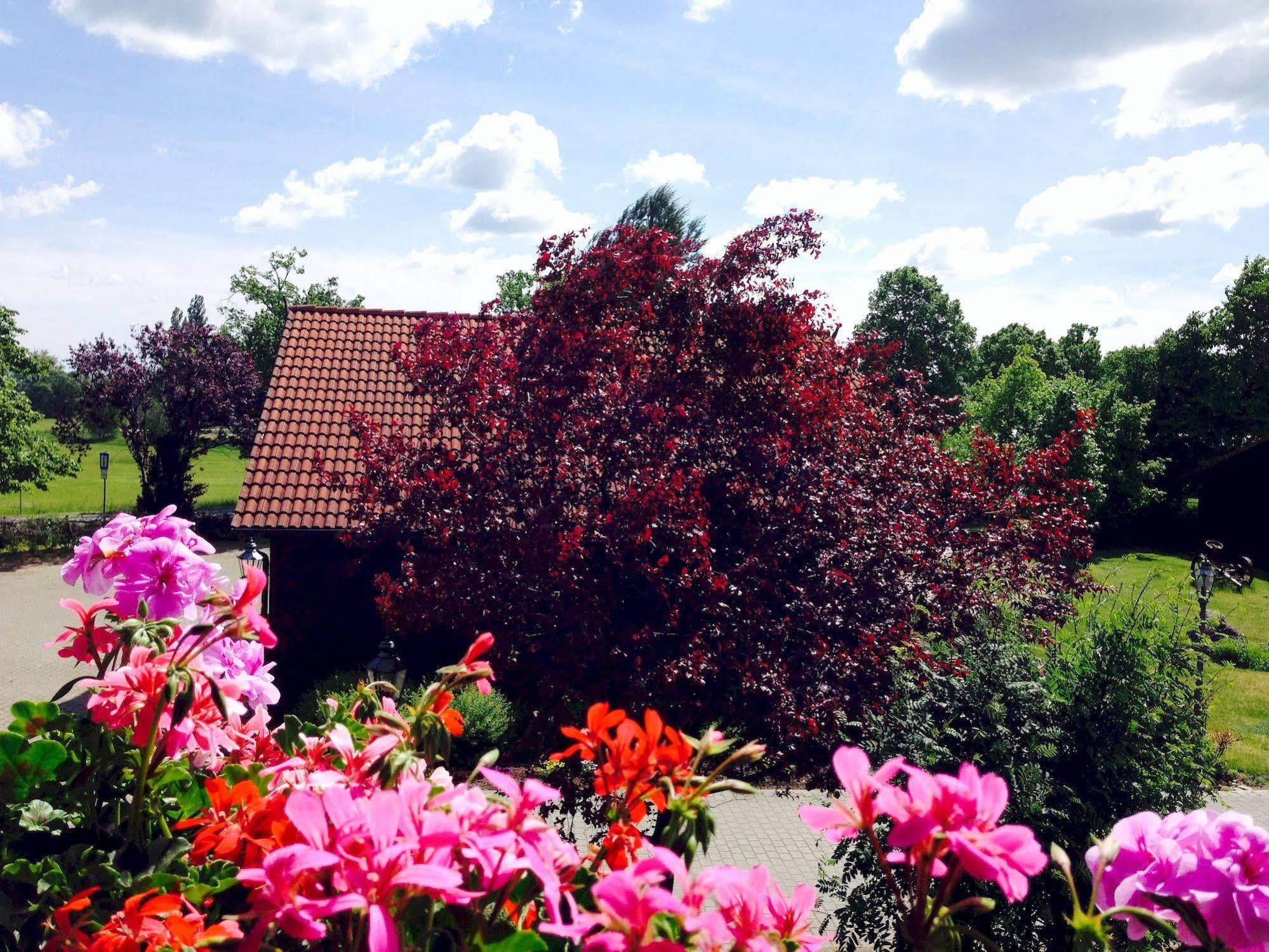 Hotel & Restaurant Zur Spreewaelderin Golßen Bagian luar foto